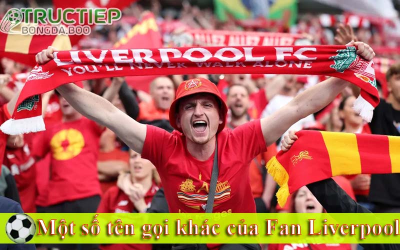 Một số tên gọi khác của Fan Liverpool gọi là gì