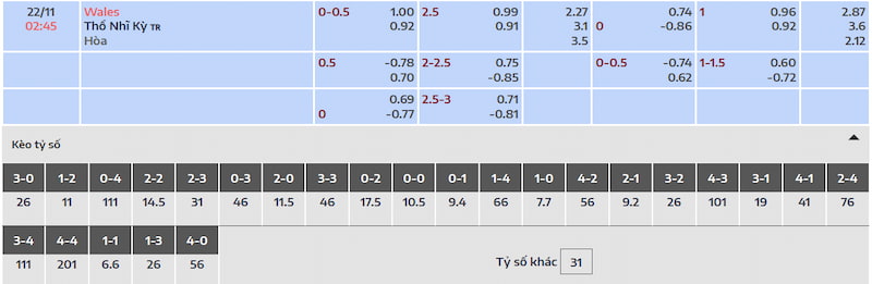 Nhận định soi kèo và kết quả trận đấu Wales vs Thổ Nhĩ Kỳ 