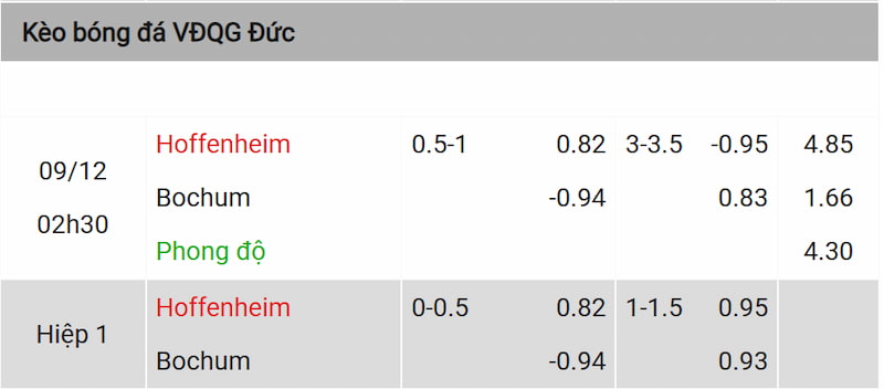 Nhận định soi kèo và kết quả trận đấu Hoffenheim vs Bochum