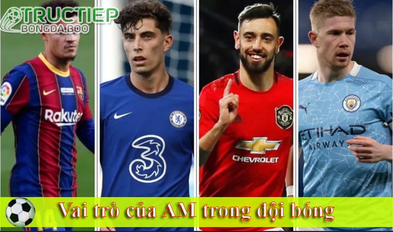 Vai trò của AM trong đội bóng