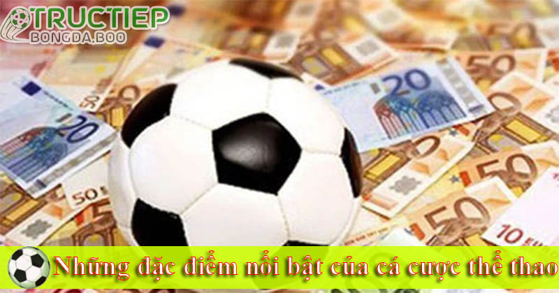 Những đặc điểm nổi bật của cá cược thể thao