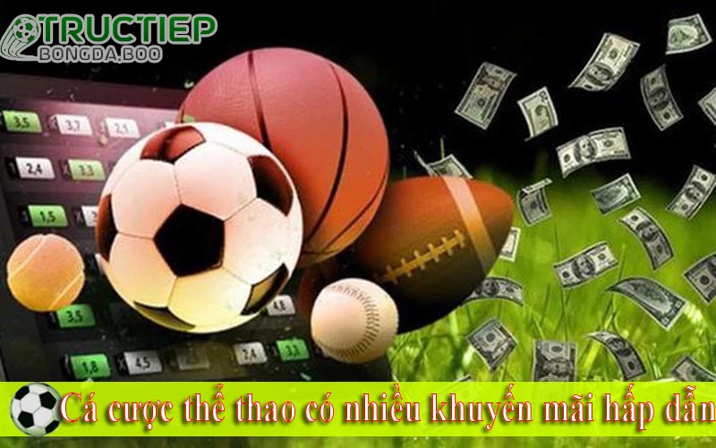 Cá cược thể thao có nhiều khuyến mãi hấp dẫn