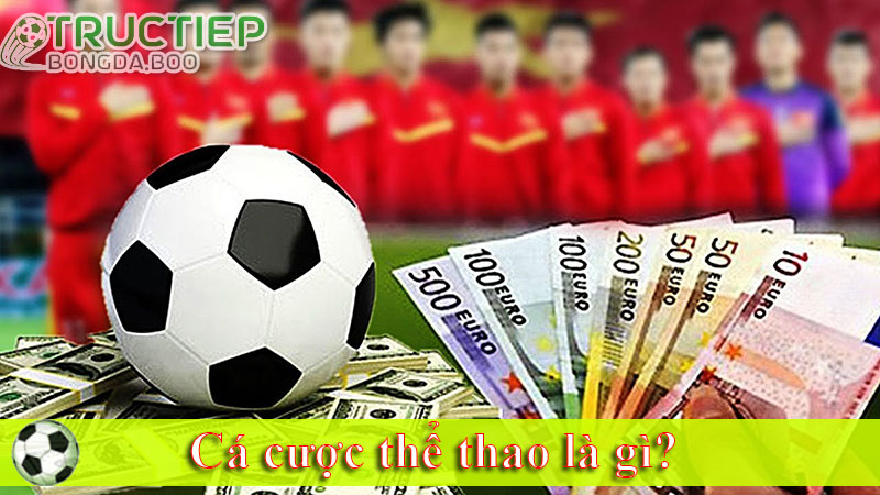Cá cược thể thao là gì?