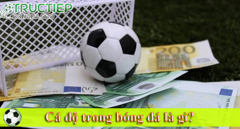 Cá độ trong bóng đá là gì? Cá độ trong bóng đá là gì?