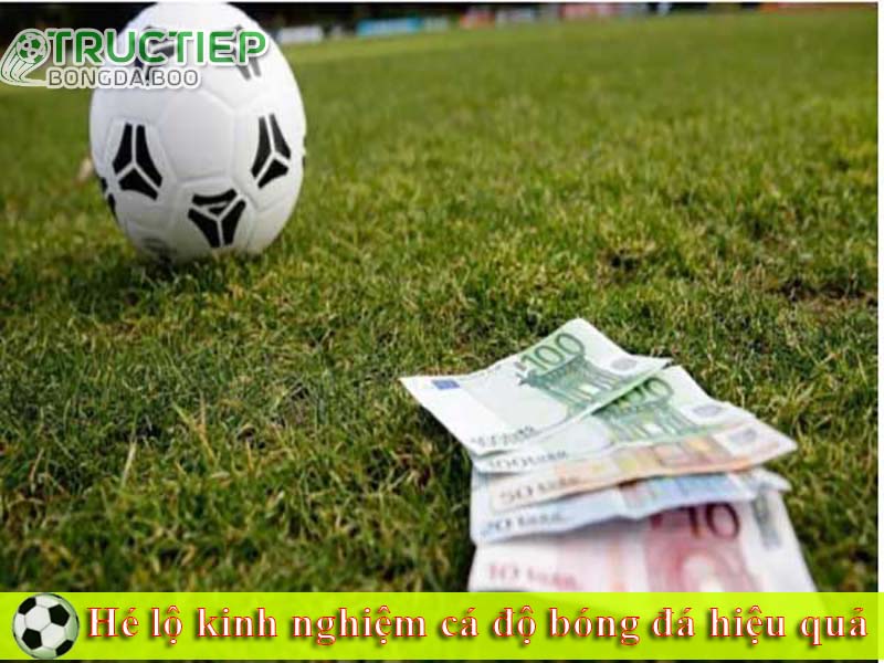 Hé lộ kinh nghiệm cá độ bóng đá hiệu quả Hé lộ kinh nghiệm cá độ bóng đá hiệu quả