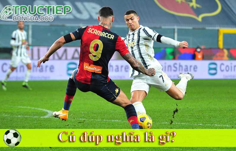 Cú đúp nghĩa là gì?