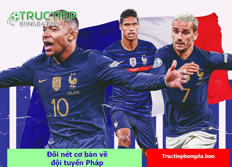 Đôi nét cơ bản về đội tuyển Pháp