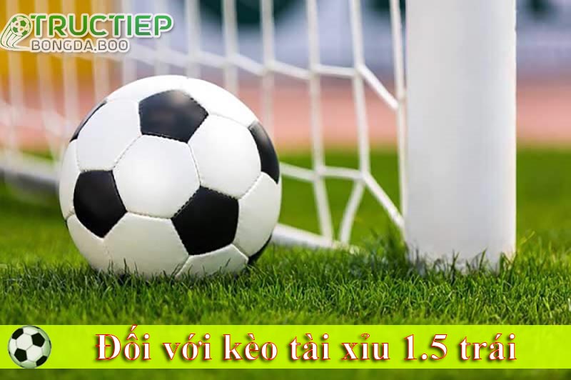 Kèo 1-5 là gì đối với kèo tài xỉu
