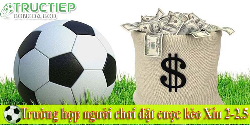 Trường hợp người chơi đặt cược kèo Xỉu 2-2.5