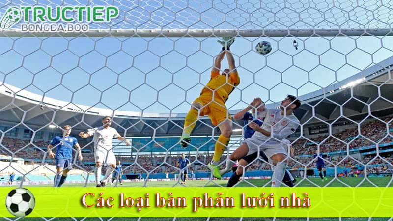 Các loại bàn phản lưới nhà