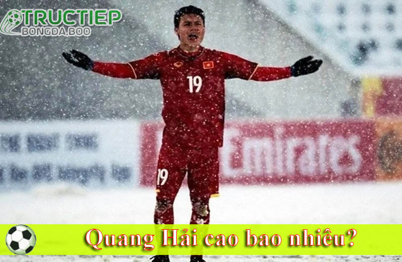Quang Hải cao bao nhiêu?