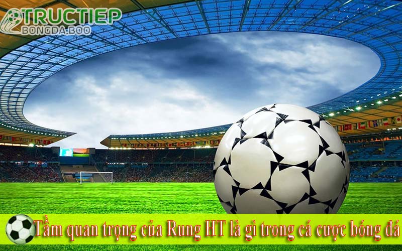 Tầm quan trọng của Rung HT là gì trong cá cược bóng đá