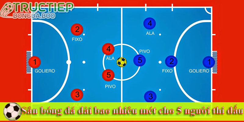 Sân bóng đá dài bao nhiêu mét cho 5 người thi đấu 