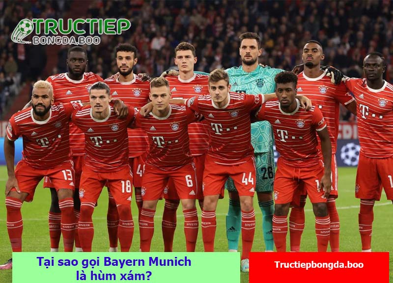 Tại sao gọi Bayern Munich là hùm xám?