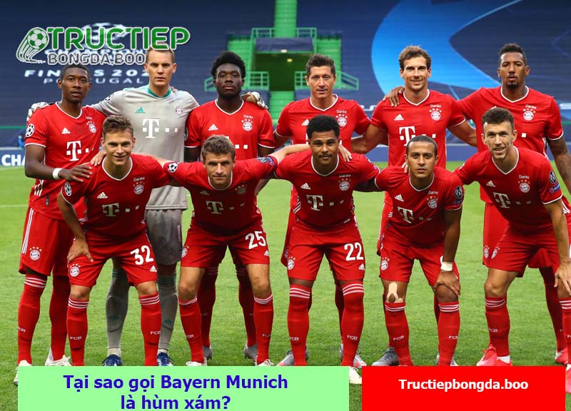 Tại sao gọi Bayern Munich là hùm xám